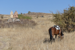 P1000176