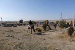 P1000186