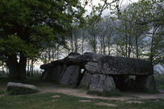 BRE-005