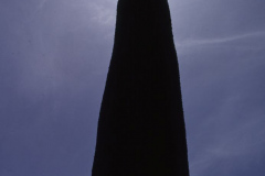 BRE-008