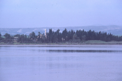 Dia067.0010026