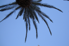 DSC06406