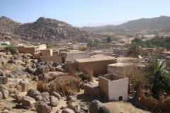 DSC06419