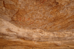 DSC06474